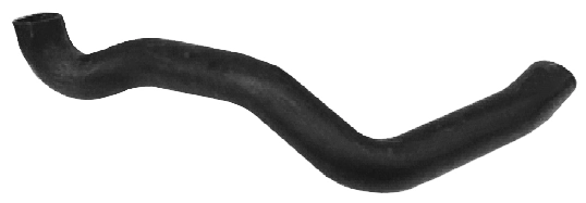 Camasa