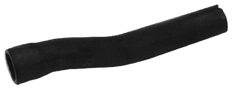 Camasa