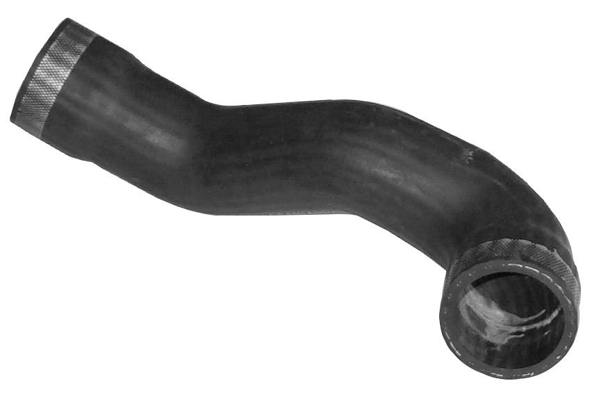 Camasa