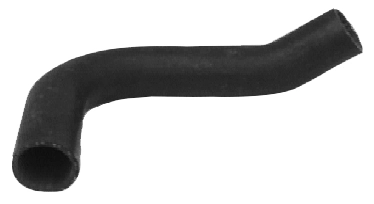 Camasa