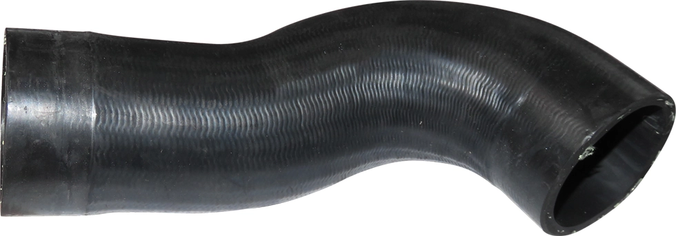 Camasa