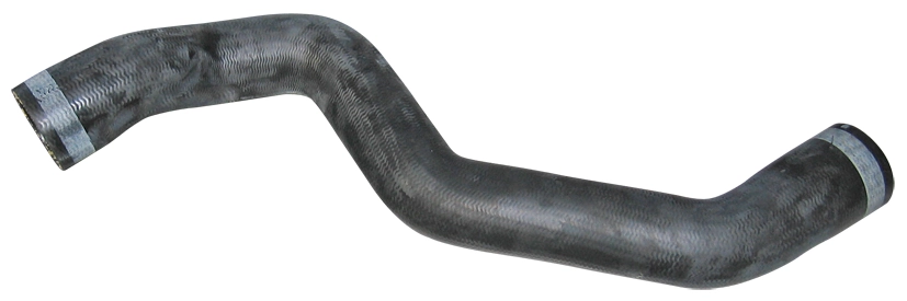 Camasa
