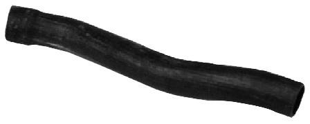 Camasa