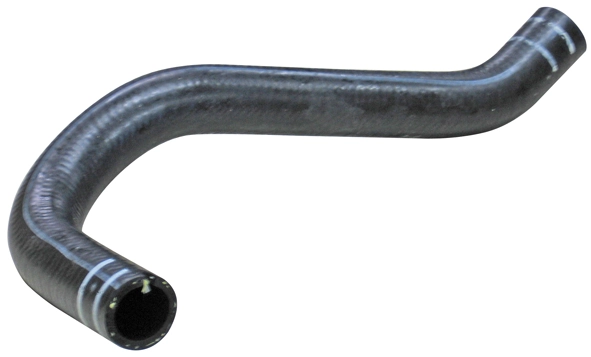 Camasa