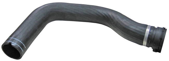 Camasa
