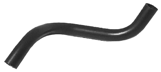Camasa