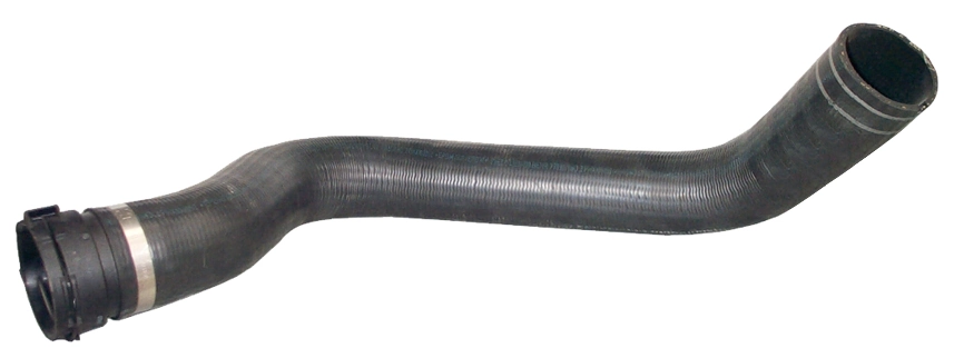 Camasa