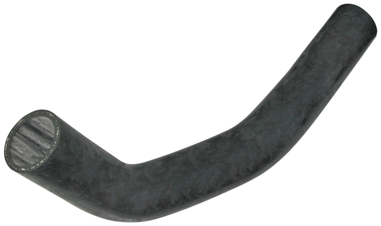Camasa