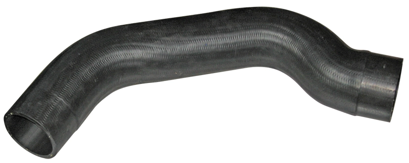 Camasa