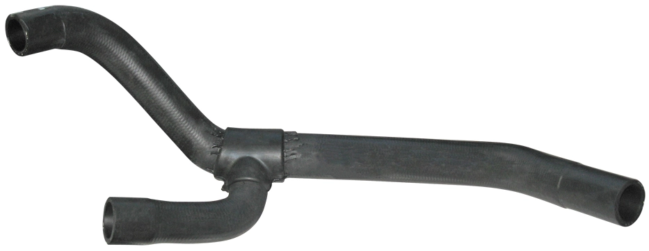 Camasa