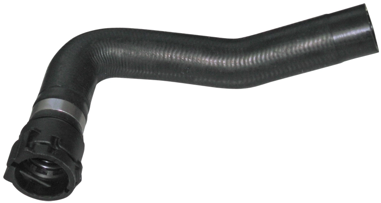 Camasa