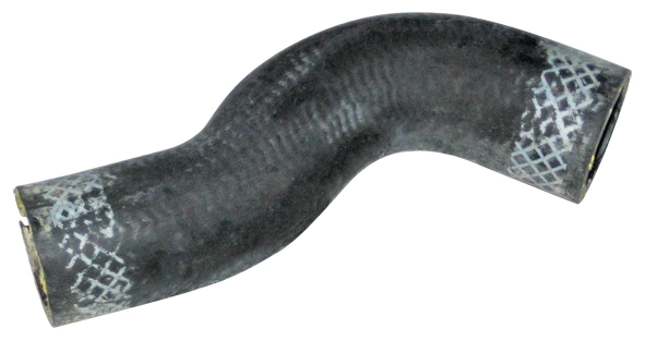 Camasa