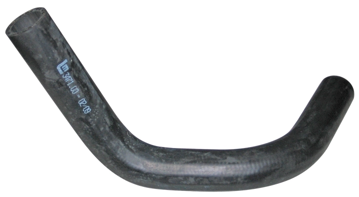 Camasa