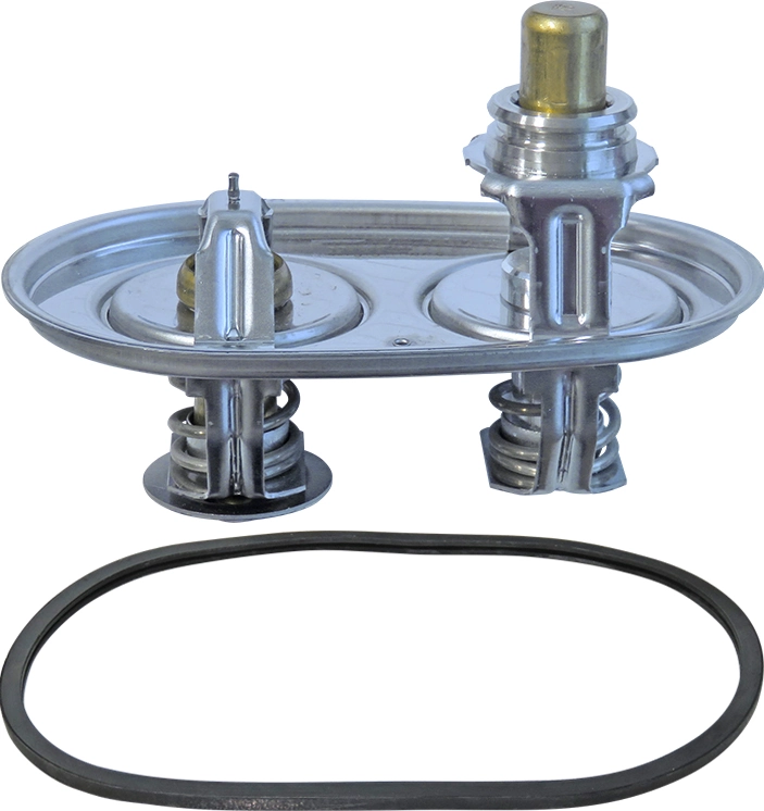 Termostat,lichid racire