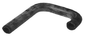 Camasa