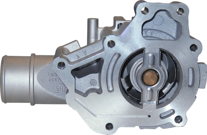 Termostat lichid racire