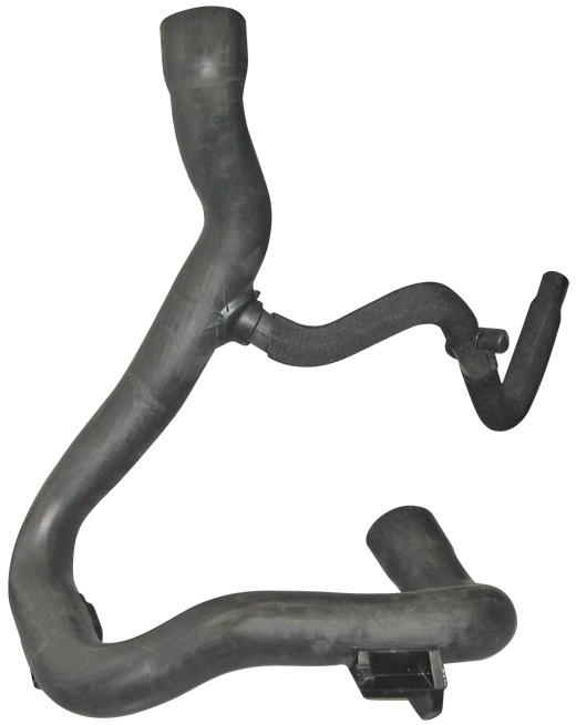 Camasa