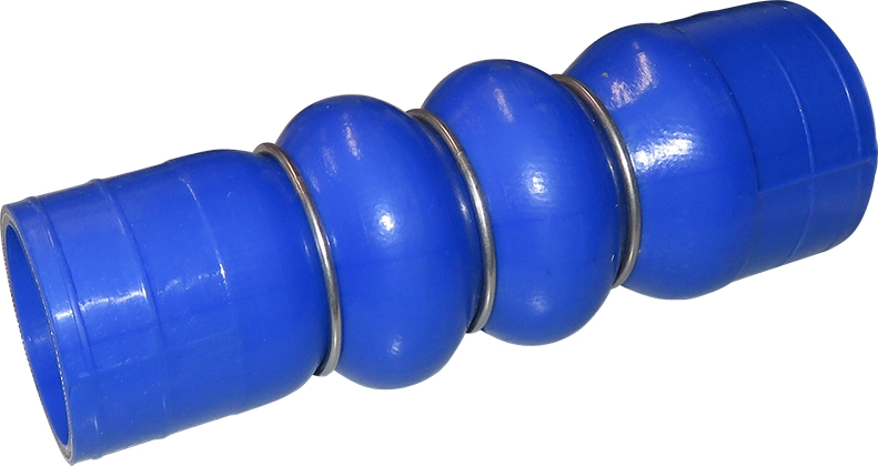Camasa