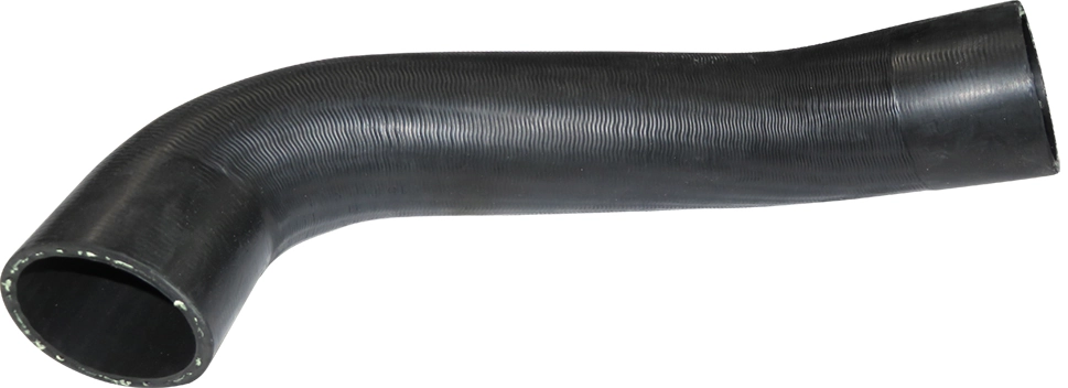 Camasa