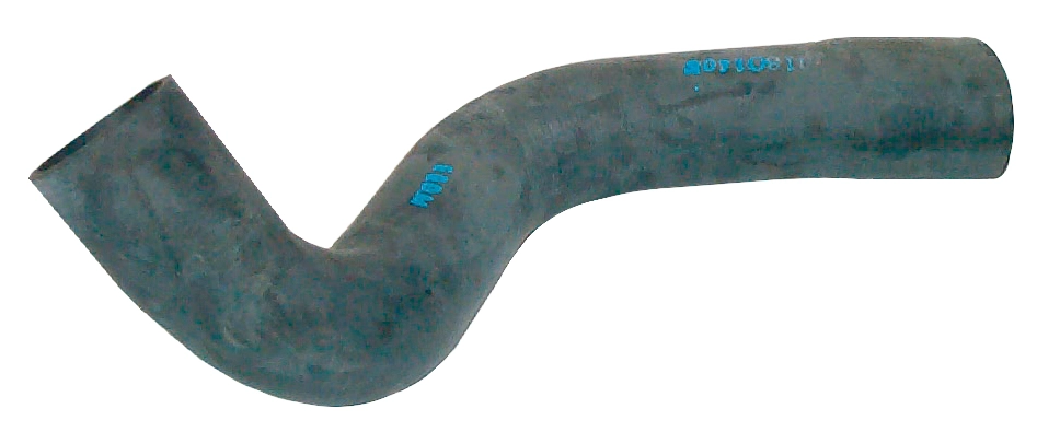 Camasa
