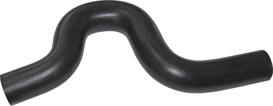 Camasa