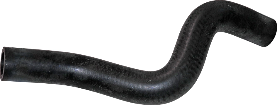 Camasa