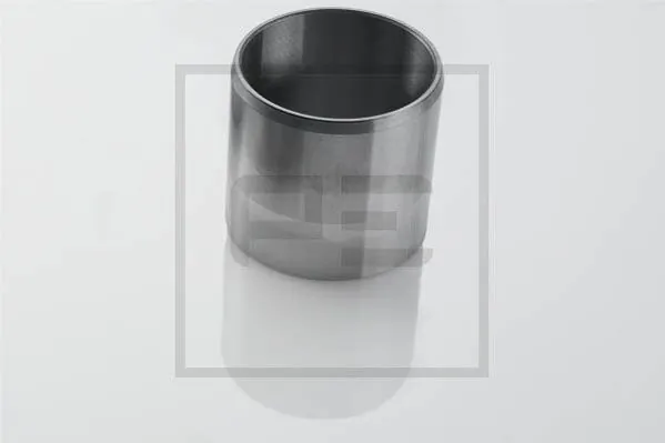 Rulment ax cardanic