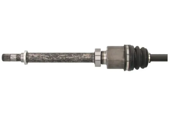 Planetara