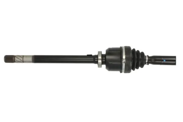 Planetara