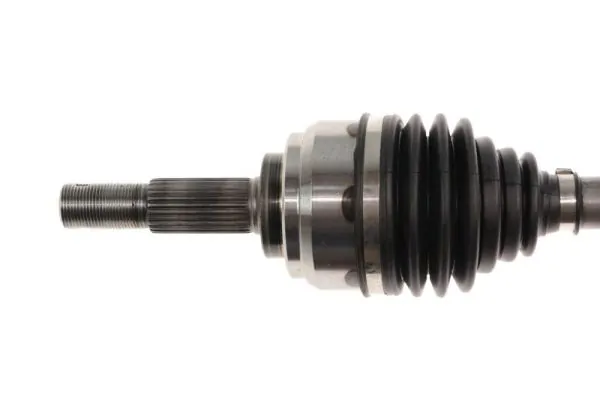 Planetara