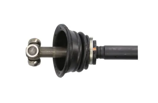 Planetara