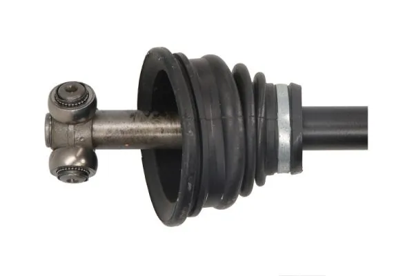 Planetara
