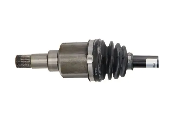Planetara