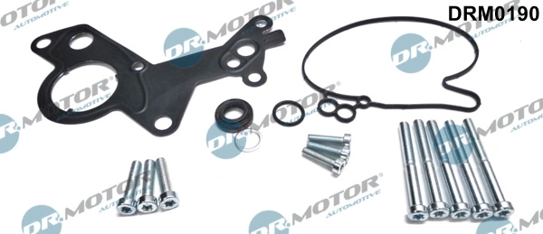 Set reparatie pompa vacuum (siste frana)