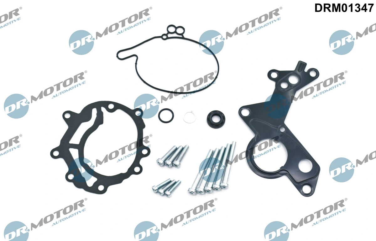 Set reparatie pompa vacuum (siste frana)