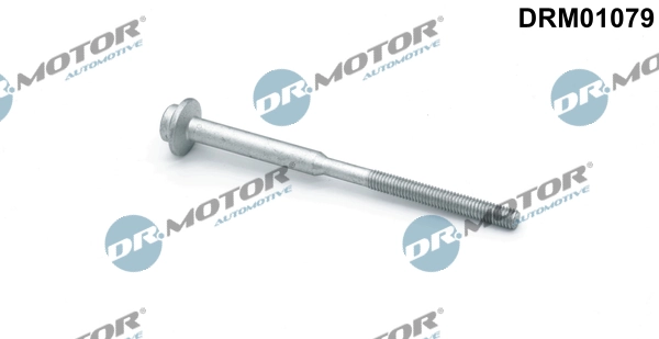 Surub suport injector
