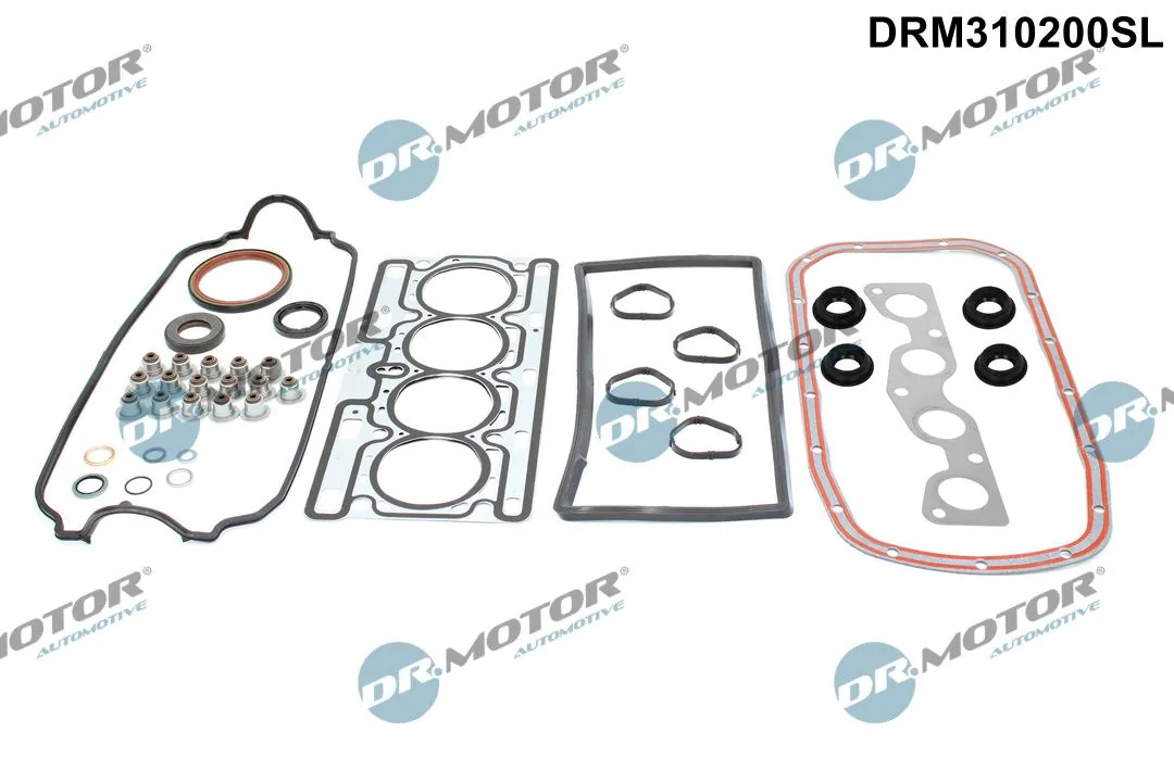 Set garnituri complet, motor