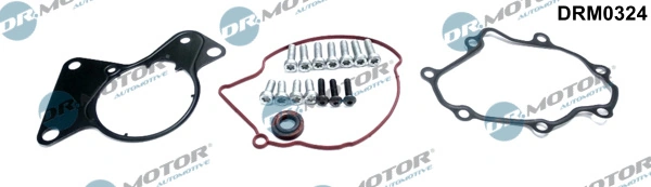 Set reparatie pompa vacuum (siste frana)