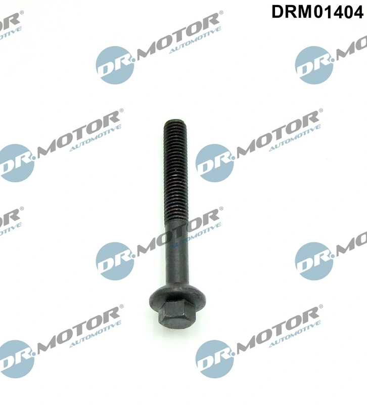 Surub suport injector