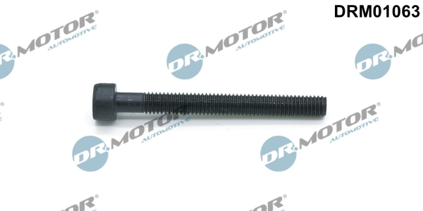 Surub suport injector
