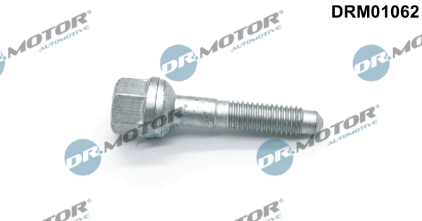 Surub suport injector