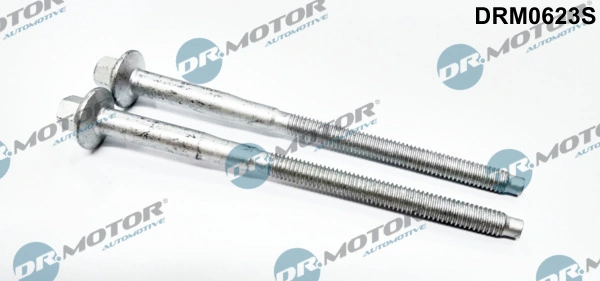 Surub suport injector