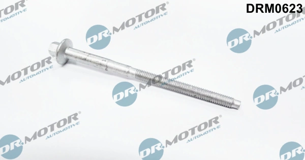Surub, suport injector