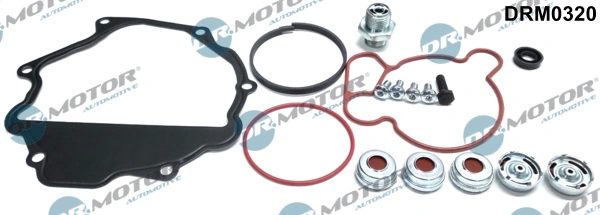 Set reparatie pompa vacuum (siste frana)