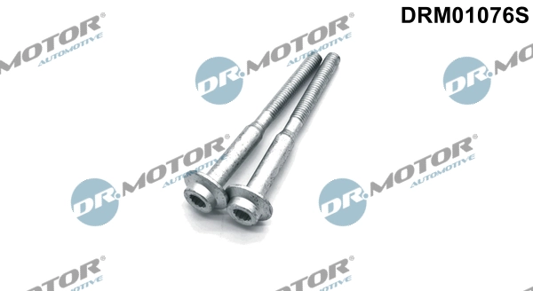 Surub suport injector