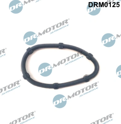 Garnitura,aerisire bloc motor