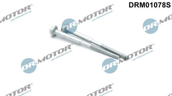 Surub suport injector