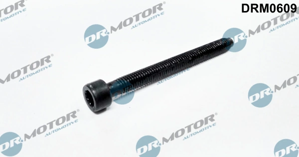 Surub suport injector