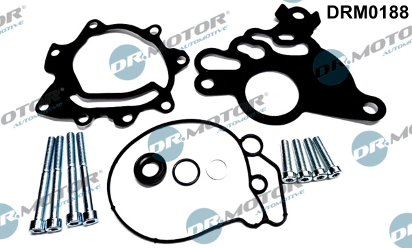 Set reparatie pompa vacuum (siste frana)