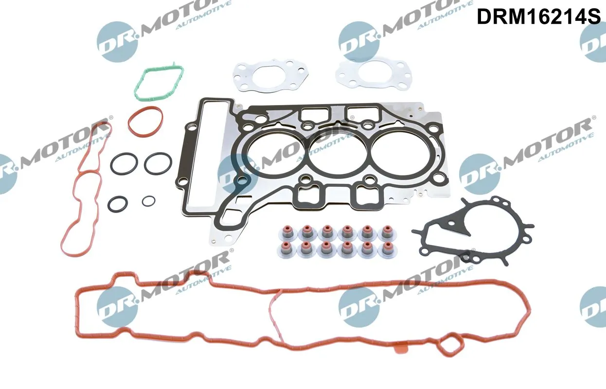 Set garnituri complet, motor